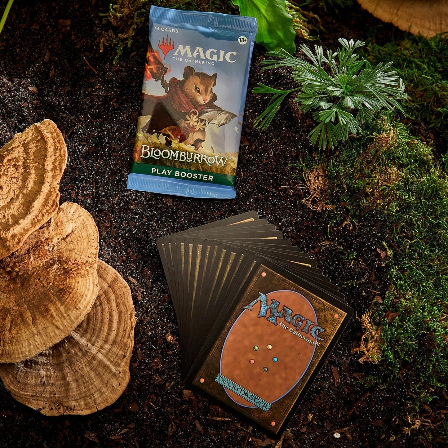 Coliseum | Bloomburrow Play Booster Box